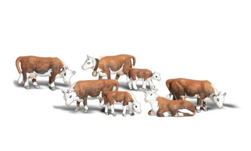 O Hereford Cows