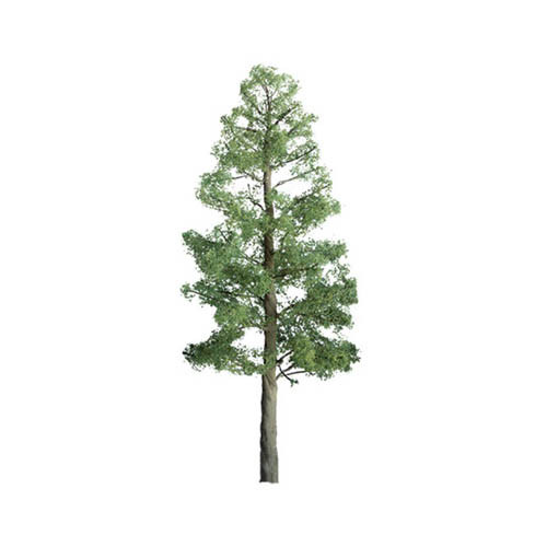Pro Tree  Birch 1.5  6