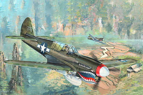 TSM02212 Trumpeter 1/32 P-40N Warhawk Fighter