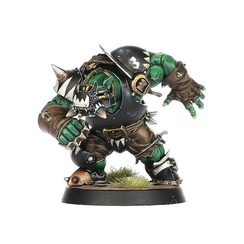 202-12 BLOOD BOWL: Black Orc Blood Bowl Team: The Thunder Valley Greenskins 202-12 BLOOD BOWL: Black Orc Blood Bowl Team: The Thunder Valley Greenskins