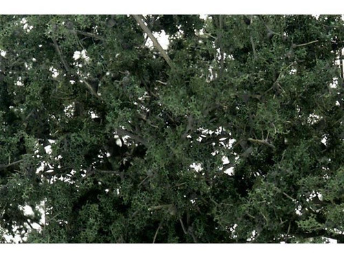 WOOF1131 Fine Leaf Foliage  Med Green/75ci