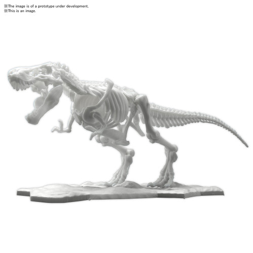 BAN2569526 Tyrannosaurus , Bandai Spirits Hobby Dinosaur Model Kit Limex Skeleton BAN2569526 Tyrannosaurus , Bandai Spirits Hobby Dinosaur Model Kit Limex Skeleton