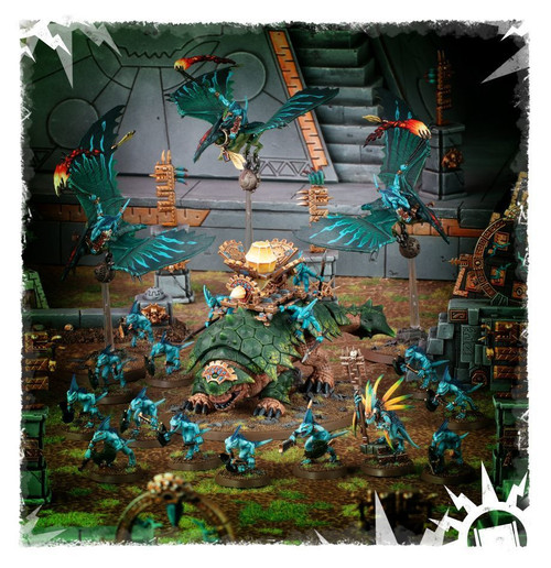 70-72 Start Collecting! Skinks
