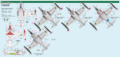 FCM32029 FCM Decals 1/32 F-80C and T-33A Brazil AF