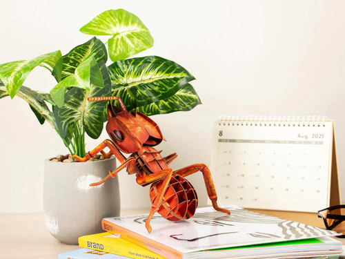 MKBB0005  Leafcutting Ant 3D Puzzle, Bring Nature Home