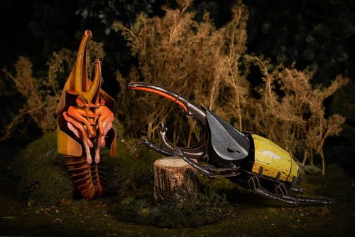 MKBB0001  Hercules Beetle 3D Puzzle, Bring Nature Home