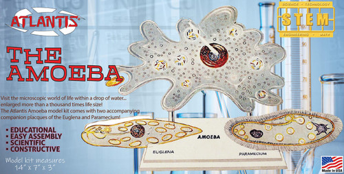 (SO) Atlantis Models Amoeba Single Cell STEM Model Kit (formerly Lindberg)