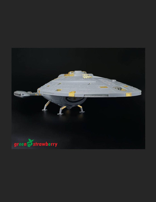 (SO) Green Strawberry Combo Pack USS Voyager NCC-74205