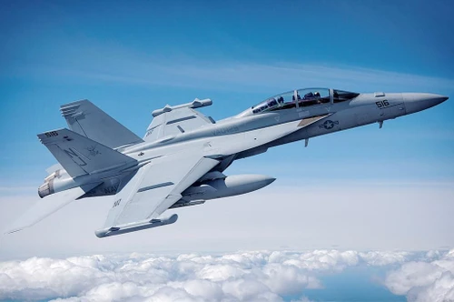 (SO) 1/48 Hobbyboss EA-18G Growler