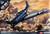 ACA12335 1:48 Academy SBD-2 Dauntless Dive Bomber 'Battle of Midway'