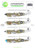 ASKD48008 1:48 ASK/Art Scale Decals - Curtiss Kittyhawk Mk.IV Pacific Battlefield RAAF Part 3