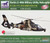 BNCN5046 1:350 Bronco Harbin Z-9WA Military Utility Helicopter Set