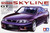 TAM24145 Nissan Skyline GT-R V-Spec 1/24