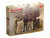 ICM32116 Photo to remember USAAF Pilots (1944-1945) 1/32