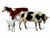 (SO) 1/35 Master Box Domestic Animals (2 Cows & 1 Goat)