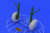 (SO) 1/48 Eduard Bf110C/D Main Undercarriage Wheels for EDU (PE & Resin)