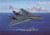 (SO) 1/48 Hobby Boss F-14B Tomcat