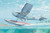 (SO) 1/32 Roden L19/O1E Bird Dog USAF Floatplane