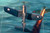 (SO) 1/48 Hobby Boss F4U-1 Corsair Late Version - HY80382