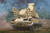 (SO) 1/35 Trumpeter ZPRK DB 96K6 Pantsir-S1 Tracked Plastic Model Kit