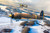 (SO) 1/72 IBG I.A.R. 80 Gathering Storm 1941 Romanian Fighter