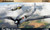 (SO) 1/48 Eduard WWII Fw190A3 German Light Fighter Plastic Model Kit