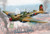 (SO) 1/48 Academy IL-2m3 Berlin 1945
