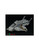(SO) Green Strawberry Combo Pack Colonial Raptor
