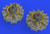 (SO) 1/72 Eduard B-25J Engines for EDU & HSG (PE & Resin)