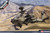 (SO) 1/72 Academy British Army AH-64 Afghanistan