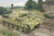 (SO) 1/48 Hobby Boss German Sd.Kfz.171 Pz.Kpfw.Ausf A Plastic Model Kit