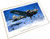 (SO) Squadron Signal Art - B-17F Sunny II Poster (12x18)