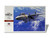 (SO) 1/48 Hasegawa F-14A TOMCAT Plastic Model Kit