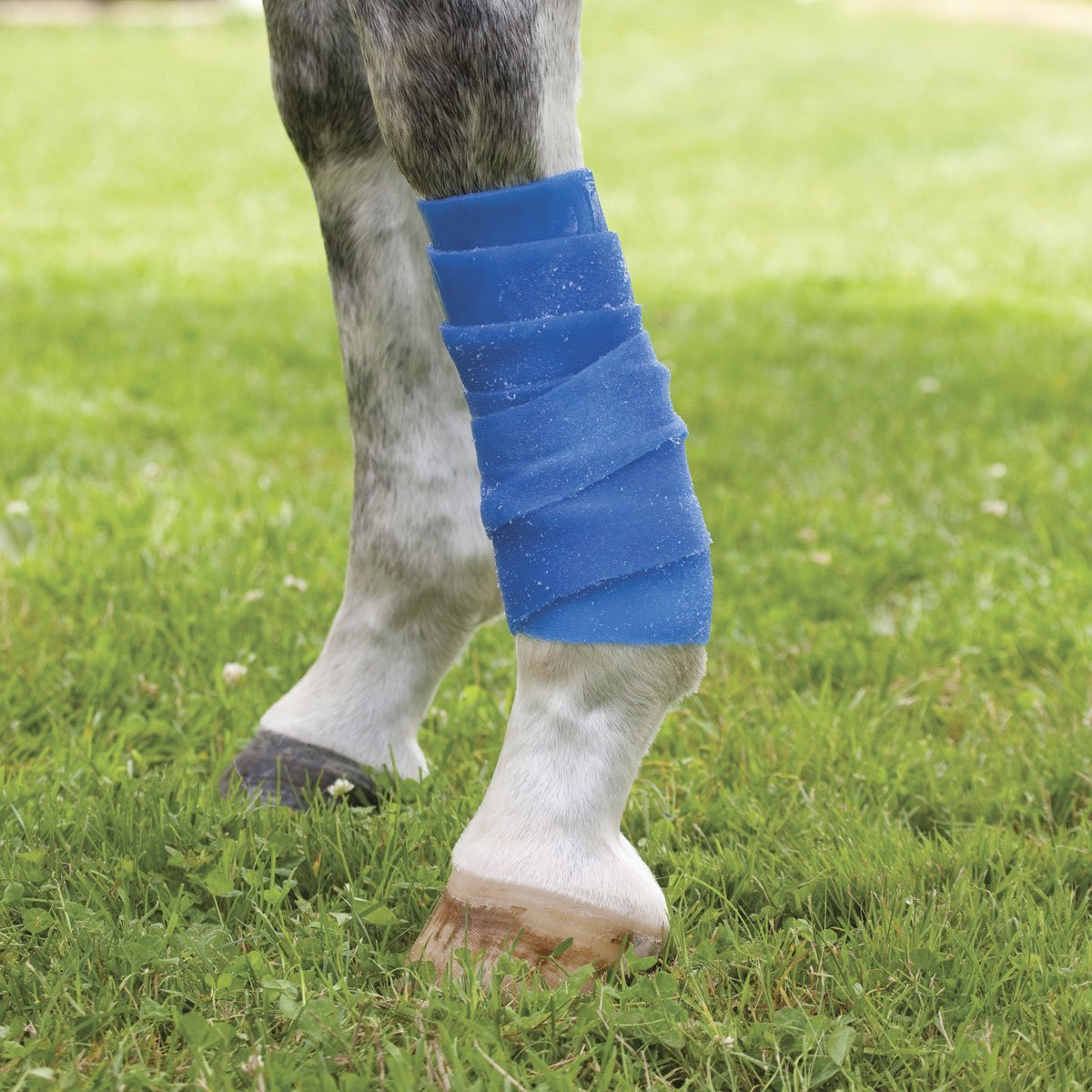 Coldflex Self-Cooling Vet Wrap - Bon-Vivant Unique Equestrian Supply ...