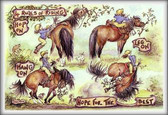 4 Rules of Riding - Funny Horse Cards | Jude Too - Lesley Bruce