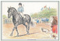 Front View.  Funny Dressage Greeting Card.  "Don't forget the Circles."