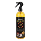 E3 Argan Oil Waterless Spray Shampoo | 16 oz. bottle