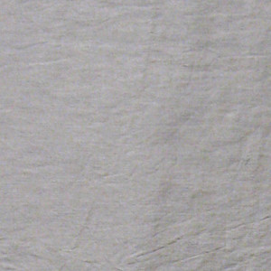 SDH Purists Elena Sheets SDH Purists Elena Sheets