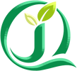 JQ GLOBAL INC