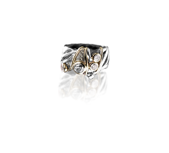 Spring Fever Ring - Sterling Silver 925 ∙ 9ct Gold