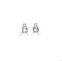 Enduring Radiance Earrings  
