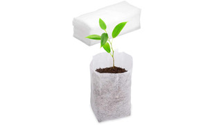 NEW-Non-woven seedling bag-LA
