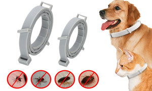  Long lasting Anti Pest Pet Collar  Repellent la