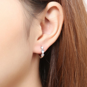 New-Zircon Silver Heart-shaped Hoop Earrings1008-LA