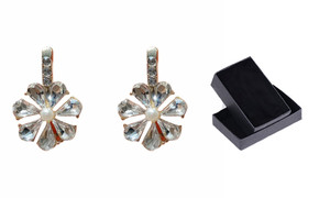 NEW Elegant Stud Earrings Zircon Super Flash Earrings 0236-la