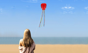 NEW   Octopus Kite Soft Kite 5346