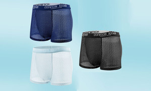 2302NEW  Three-piece summer ultra-thin mesh mesh breathable boxer shorts head 5398