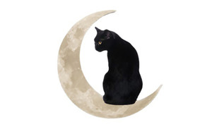 2303 NEW Iron Art Moon Cat Home Interior Wall Pendant 6634