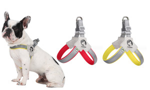 2309 NEW Saddle style pet breathable reflective chest strap  8167 la