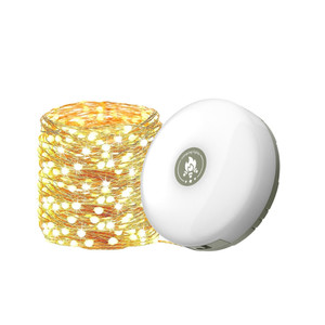 2408 New Rechargeable multi-stage adjustable tent camping atmosphere light string 8937